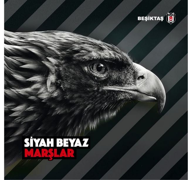 SİYAH BEYAZ MARŞLAR ZİRVEYE KOŞUYOR