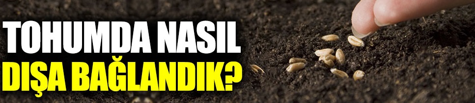 5 yıllık tohum ithalatı 1 milyar doları geçti