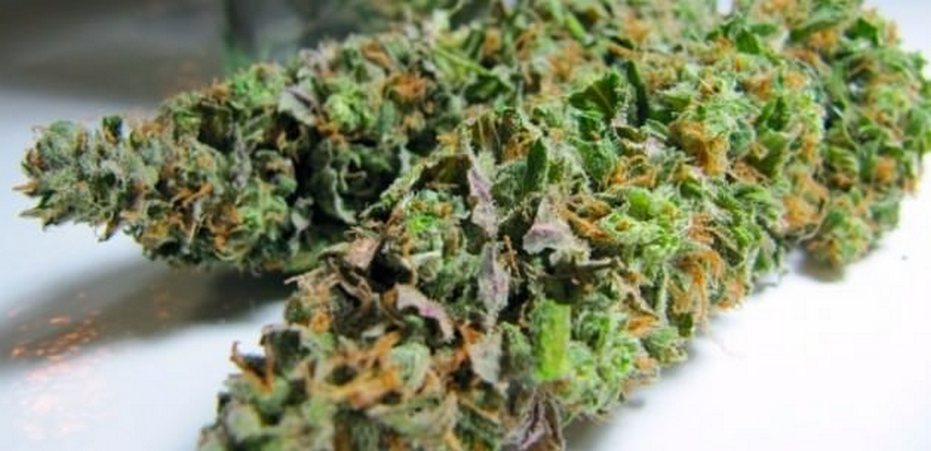 ÇAĞIMIZIN VEBASI UYUŞTURUCU