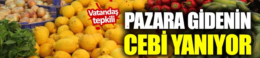Limon, fiyatıyla yüzleri ekşitiyor