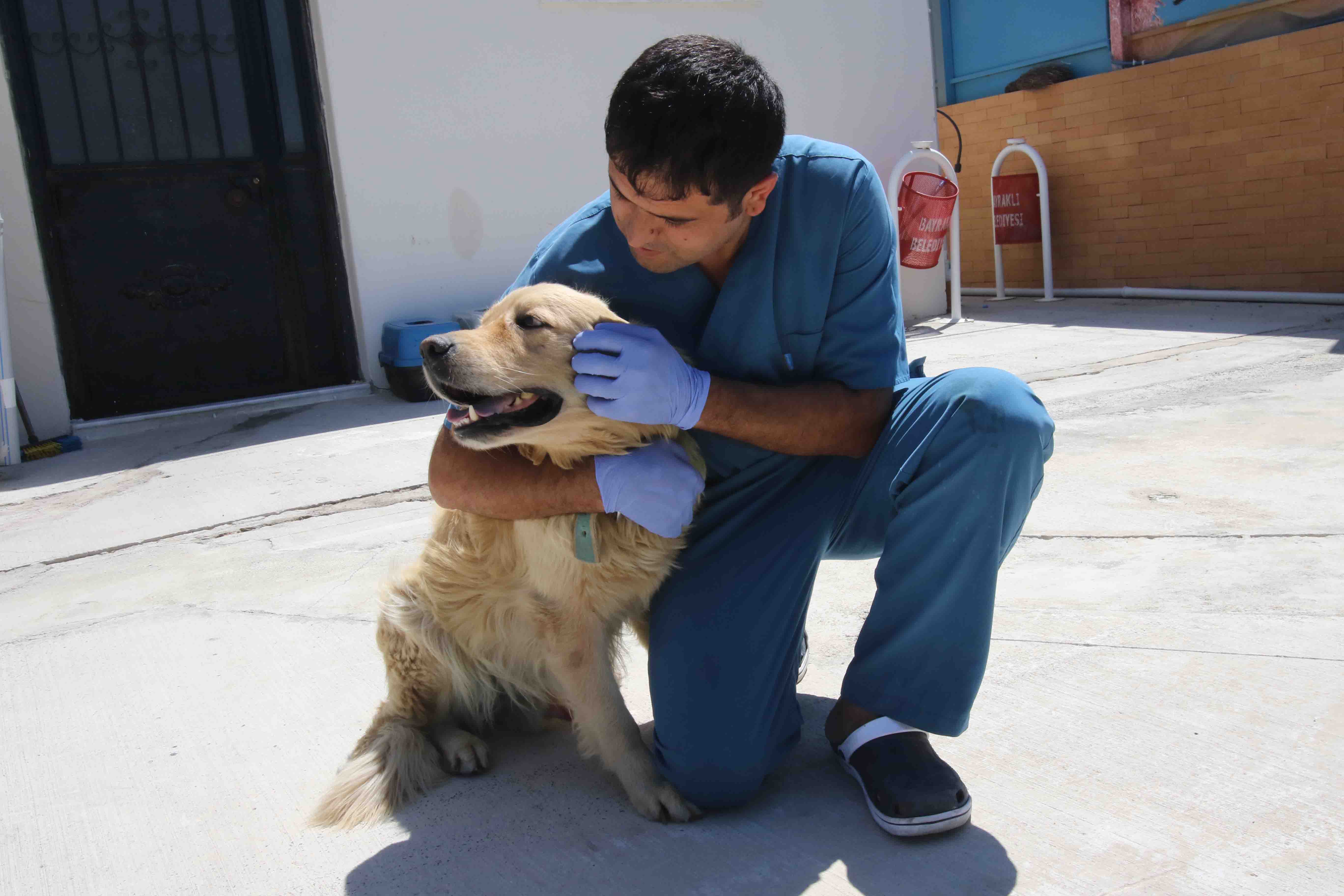 SEVİMLİ KÖPEK ‘PASPAS’ARTIK EMİN ELLERDE