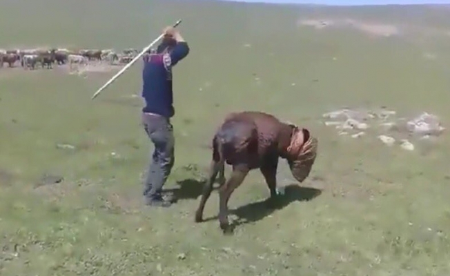 Böylesine ne isim verilir