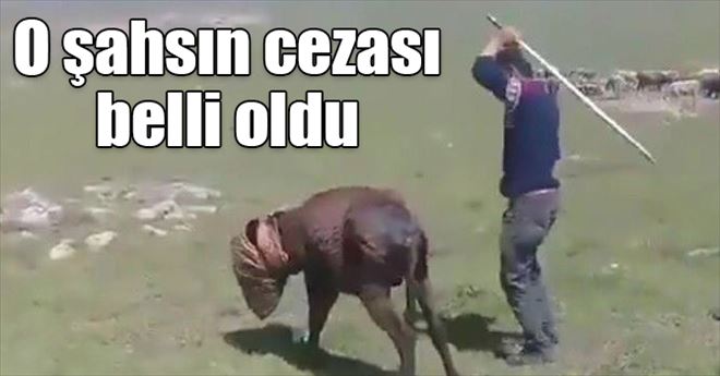 EŞŞEĞE İŞKENCEYE KOMİK CEZA