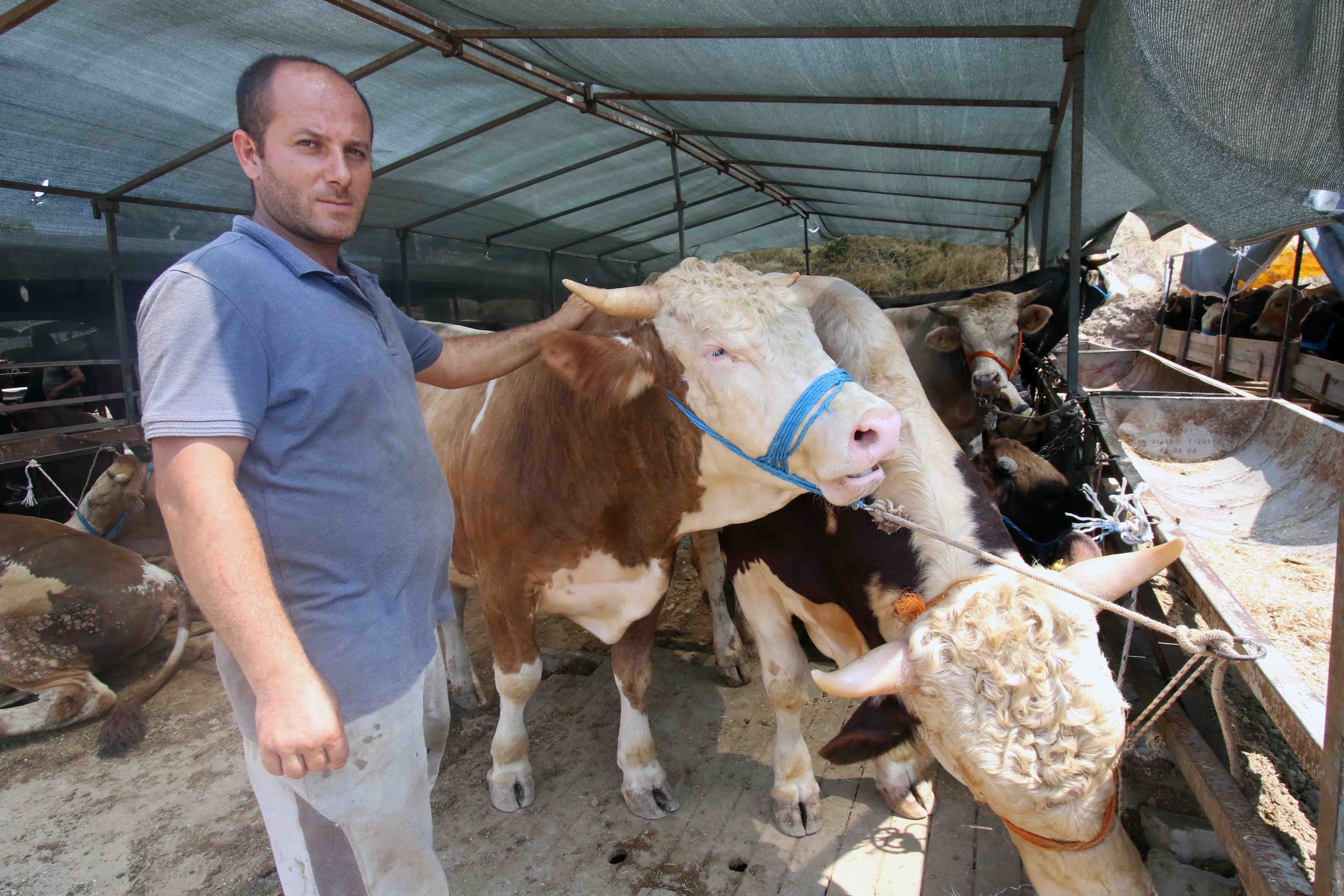 BAYRAKLI BELEDİYESİ KURBAN BAYRAMI’NA HAZIR