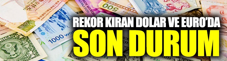 Dolar ve Euro kuru ne kadar oldu