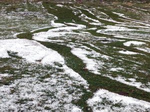 Ardahan'da Dolu Etkili Oldu