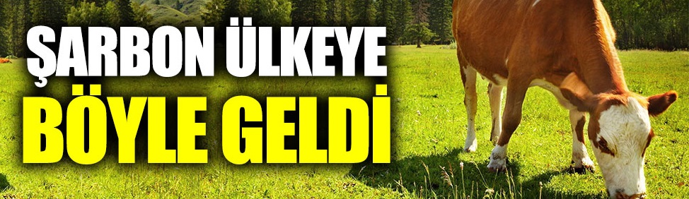 Şarbon ülkeye böyle geldi