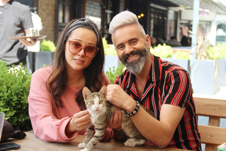 SOKAK HAYVANLARINA DESTEK BÜYÜYOR