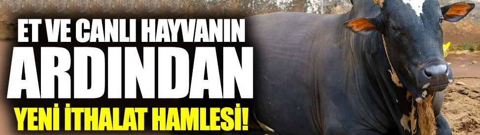 Et ve canlı hayvandan sonra yeni ithalat hamlesi