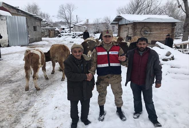 ÇALINAN HAYVANLAR KOMŞU KÖYDE BULUNDU