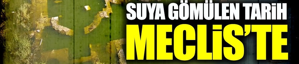 Suya gömülen tarih, Meclis'te
