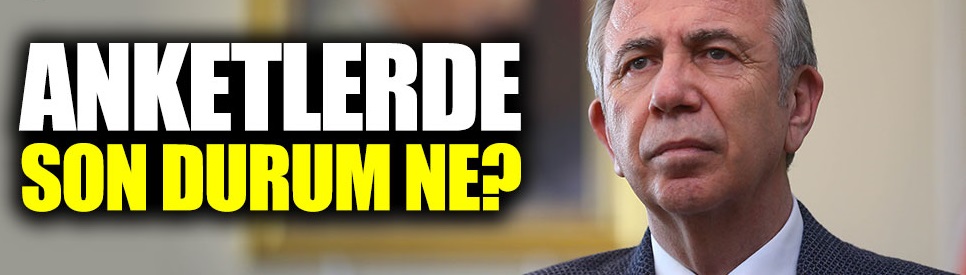 Anketlerde son durum ne