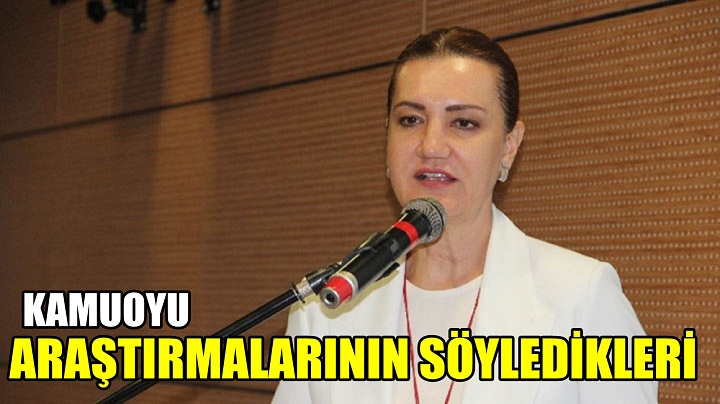 rnHOTAR; KAMUOYU ARAŞTIRMALARININ SÖYLEDİKLERİ