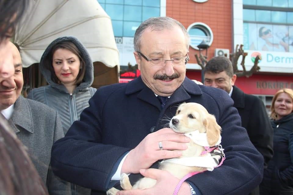 YILMAZ SOKAK HAYVANLARININ GÜVENCESİYİZ