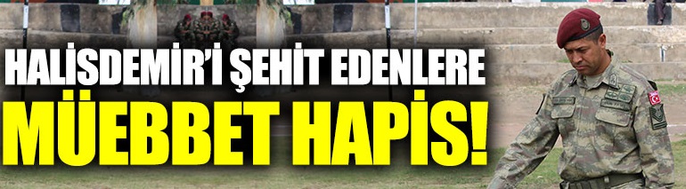Ömer Halisdemir’i şehit eden darbecilerin cezası onandı