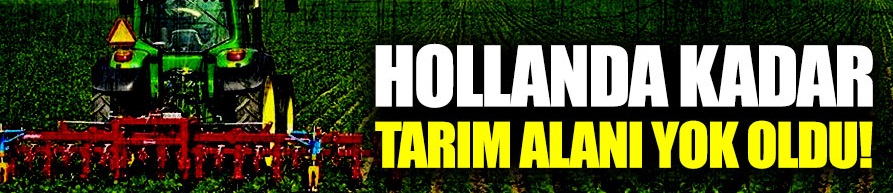 Hollanda kadar tarım alanı yok oldu