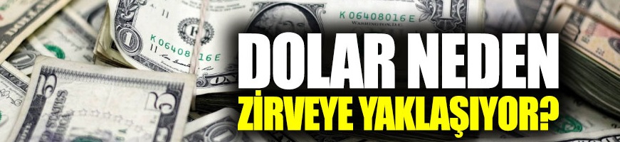 Dolar neden zirveye yaklaşıyor