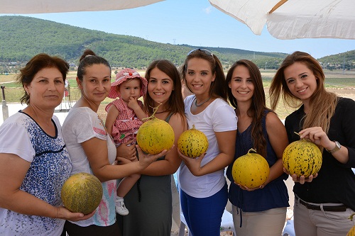 MİS KOKULU FESTİVAL URLA DA
