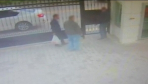 16 köpeği zehirleyen zanlılar serbest