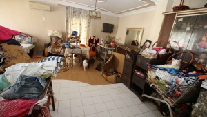 Bayraklı'da 47 kedi, 6 köpek, 1 kaplumbağa ölmekten kurtarıldı