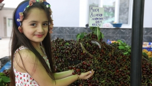 Belenbaşı'nda 14'üncü kiraz şöleni