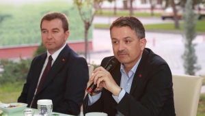 Bergama’dan Ankara’ya çam fıstığı seferberliği