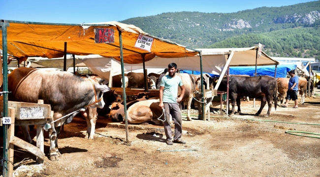  Işıkkent’teki Kurban Satış ve Kesim Alanı’nda her şey hazır