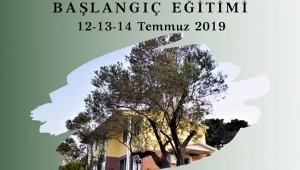 Zeytin Okulu'ndan, Zeytincilik Eğitimi