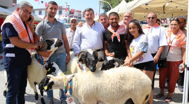 5. Ovacık Tarım ve Sakız Koyunu Festivali coşkuyla kutlandı