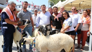 5. Ovacık Tarım ve Sakız Koyunu Festivali coşkuyla kutlandı