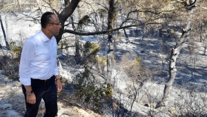 Başkan Oğuz: Yeniden ağaçlandıracağız