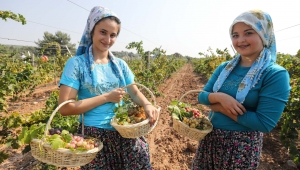 Buca’da üzüm şenliği heyecanı