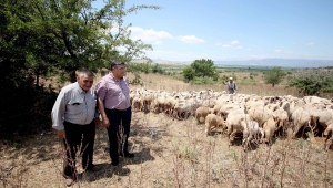 Sındır, veba salgınını Meclis gündemine taşıdı
