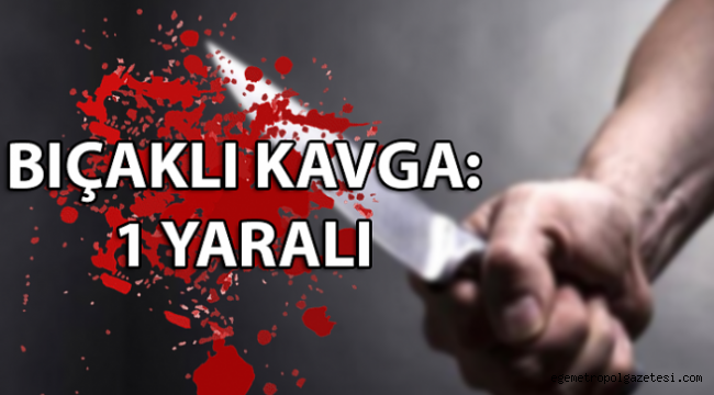  Bıçaklı kavgada 1 kişi yaralandı.