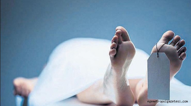 Bu araştırma hem şaşırtıyor hem de korkutuyor