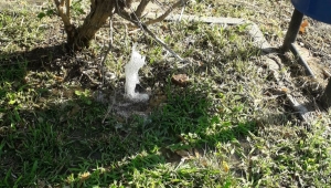 Buca’nın parkları yine Vandalizm kurbanı