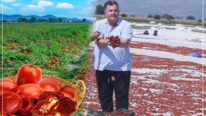 KINIK'IN KIRMIZI ALTINI KURUTULMUŞ DOMATES