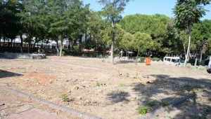 Menemen Belediyesi’nden ağaç katliamı iddialarına yalanlama