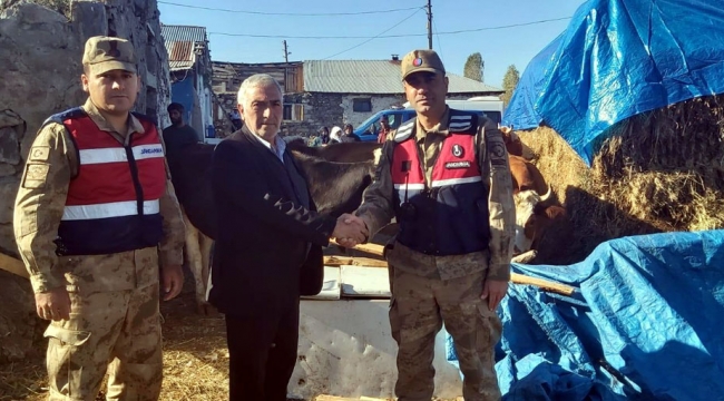 Ardahan'da Hayvan çalınması olayı ile ilgili Soruşturma başlatıldı