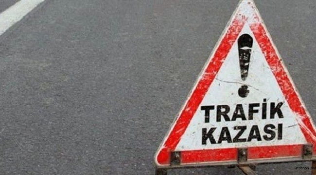 Ardahan'da otomobil devrildi: 2 yaralı