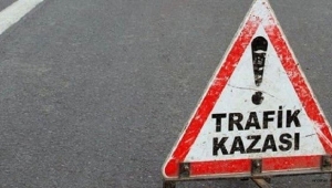 Ardahan'da otomobil devrildi: 2 yaralı