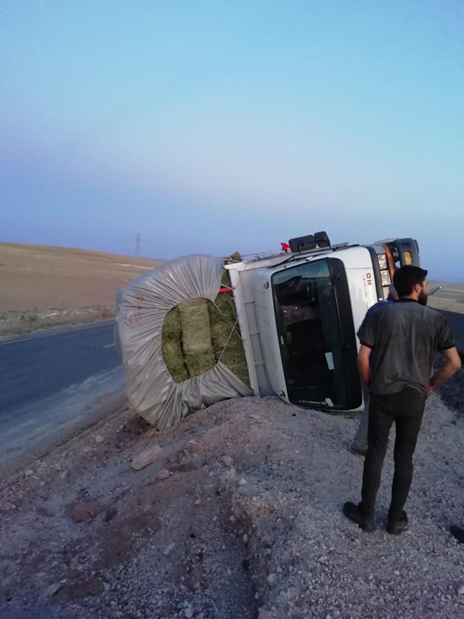 Ot yüklü kamyonet kaza yaptı