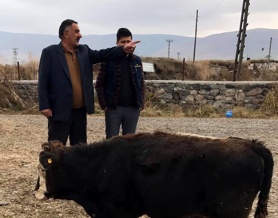 Ardahan'da Amca Yeğeni Tarafından Öldürüldü
