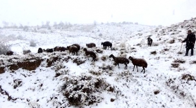 Ardahan, Erzurum, Kars ve Ağrı için yoğun kar yağışı bekleniyor