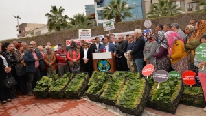 Başkan Aksoy: “Ispanak üreticisine destek vereceğiz”