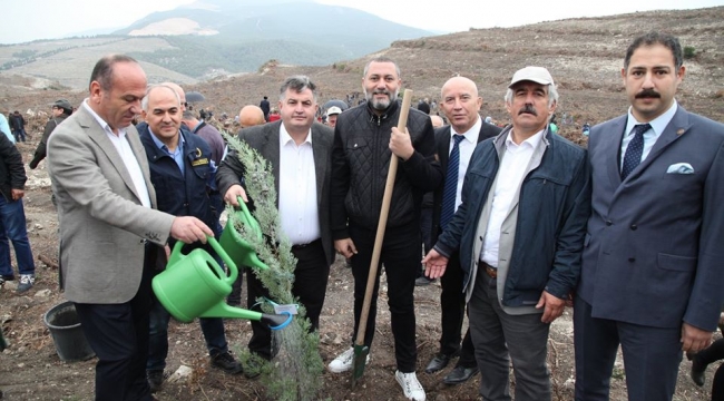 KINIK'TA 80 BİN FİDAN TOPRAKLA BULUŞTURULDU