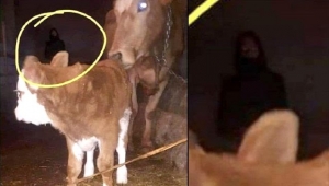 Ardahan'lı Gazeteci cin olayına Olgun Kızıltepe son noktayı koydu