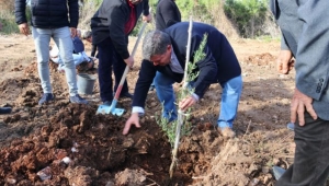 Dünya Zeytin Günü Çeşme’de kutlandı