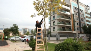 Çiğli Belediyesi’nden Çevre ve Halk Dostu Proje
