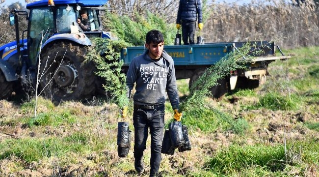 İZSU’dan Tahtalı Havzası’na 1 milyon 109 bin fidan